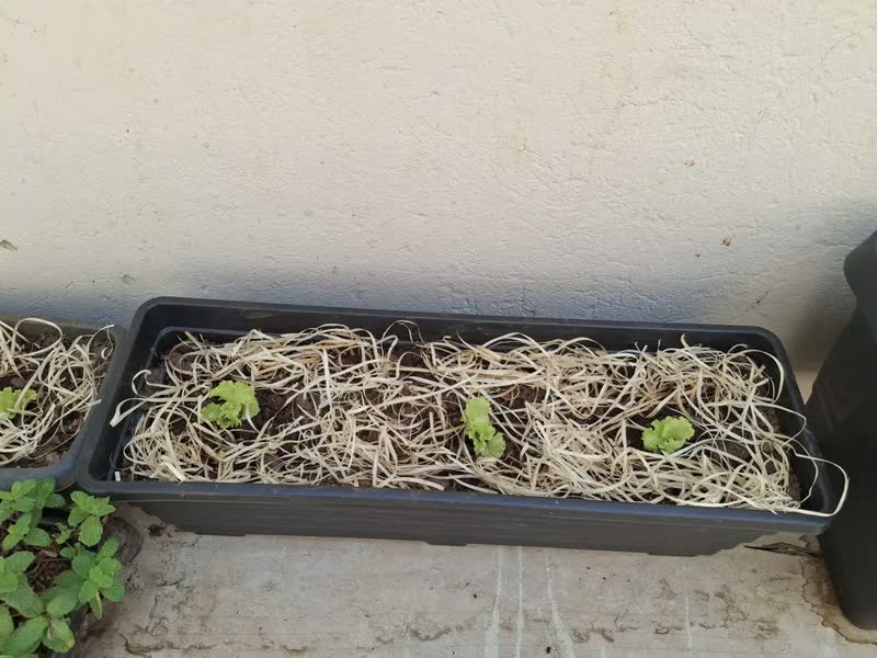 foto de Floreira De Chão 60cm Vaso Jardineira Grande Plantas E Horta Cor Preto