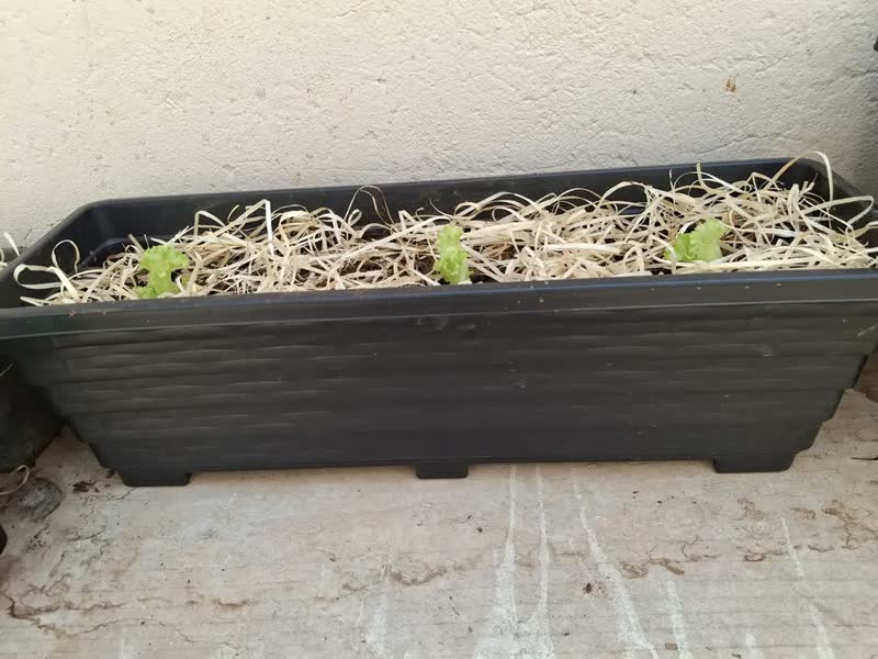 foto de Floreira De Chão 60cm Vaso Jardineira Grande Plantas E Horta Cor Preto