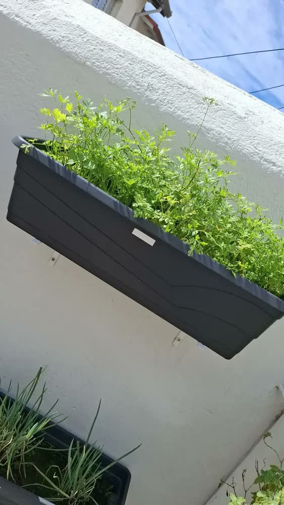 foto de Floreira De Chão 60cm Vaso Jardineira Grande Plantas E Horta Cor Preto