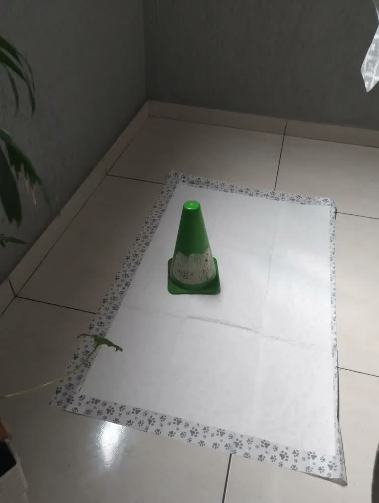 foto de Tapete Higiênico Econopad Carvão Bambu 60x90cm 30 Unidades