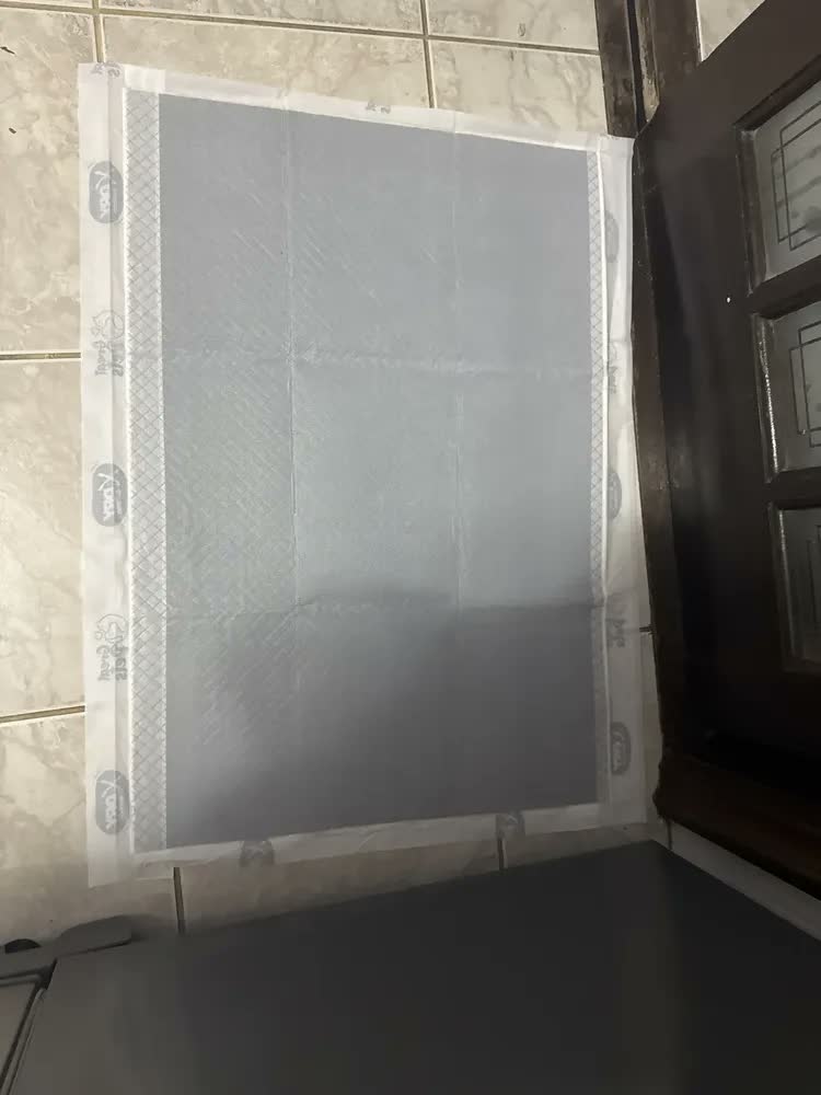 foto de Tapete Higiênico Great Pets X Dry Slim 60x80cm 30 Unidades