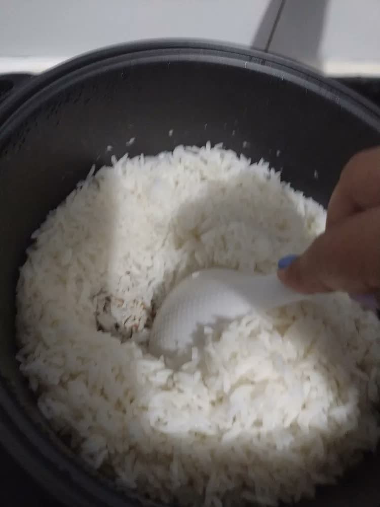 foto de Panela Arroz Eletrica 10 Xicaras Inox 700w Rizzo Elgin