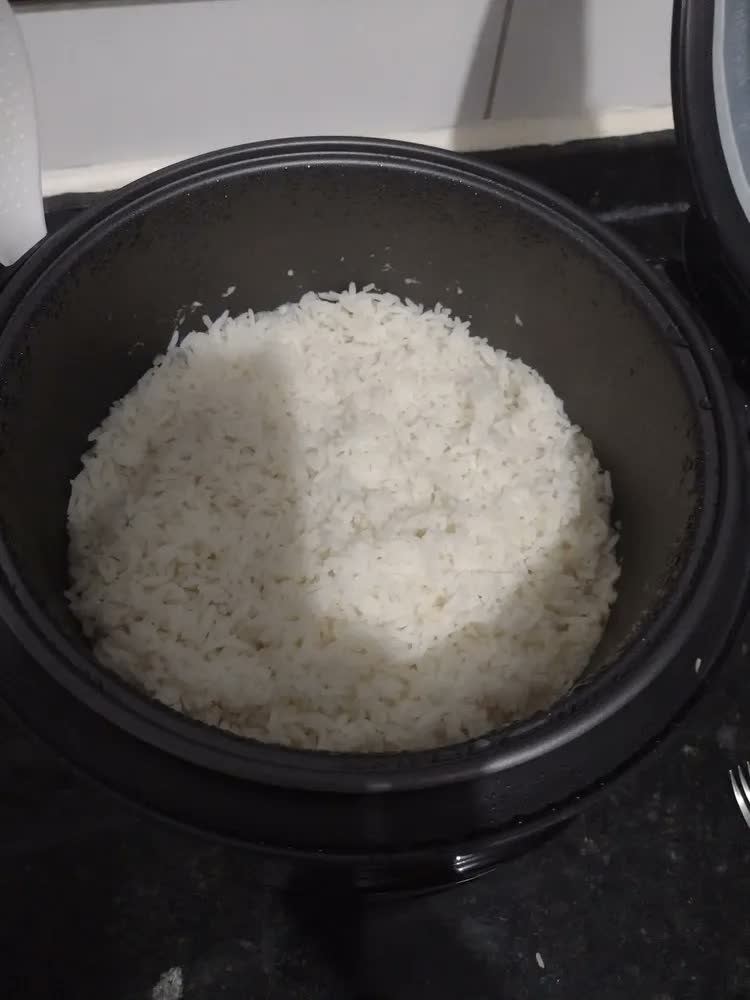 foto de Panela Arroz Eletrica 10 Xicaras Inox 700w Rizzo Elgin