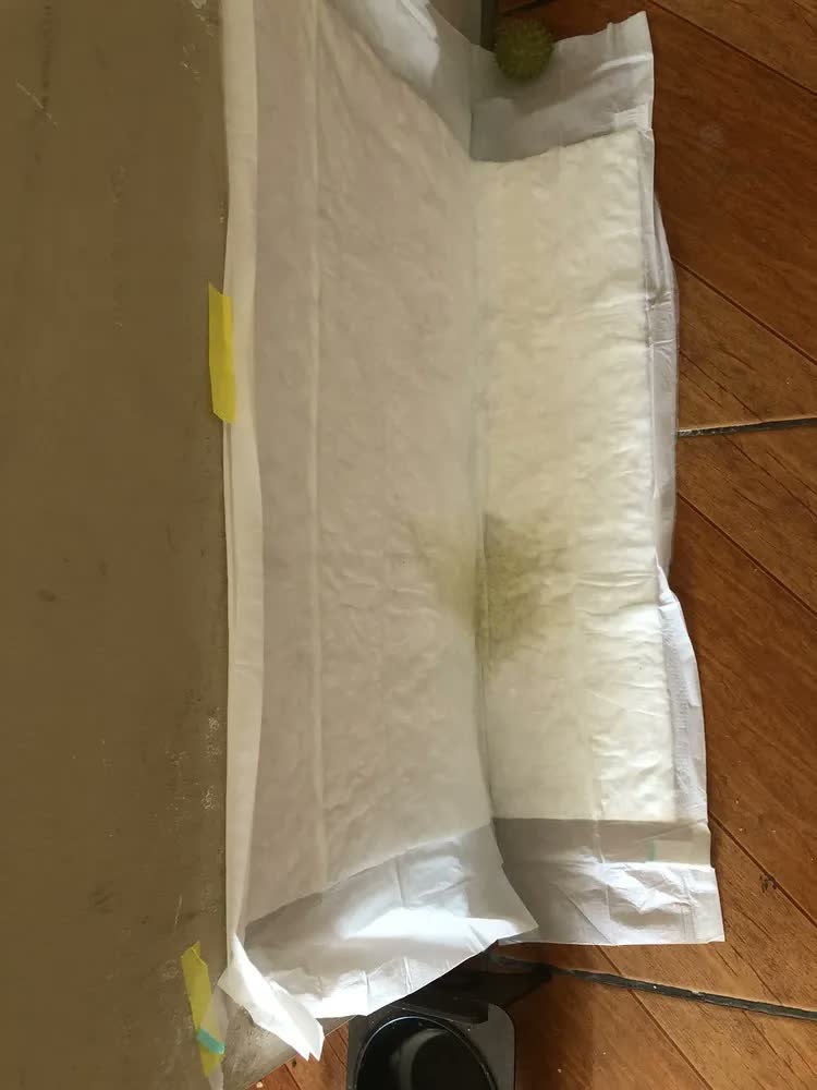 foto de Tapete Higiênico K9 80x60cm Cães Gatos Absorvente 30 Unidades