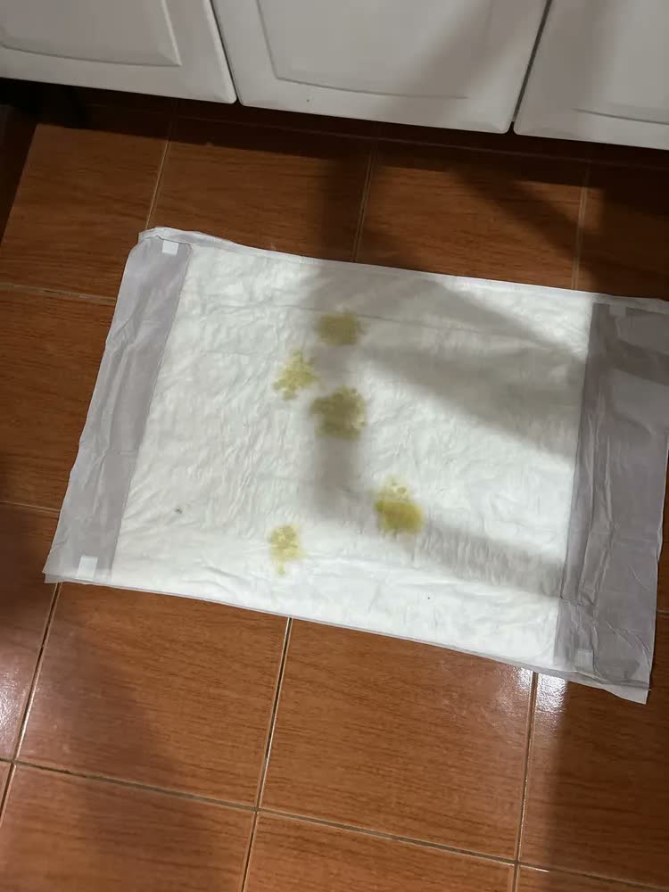 foto de Tapete Higiênico K9 80x60cm Cães Gatos Absorvente 30 Unidades