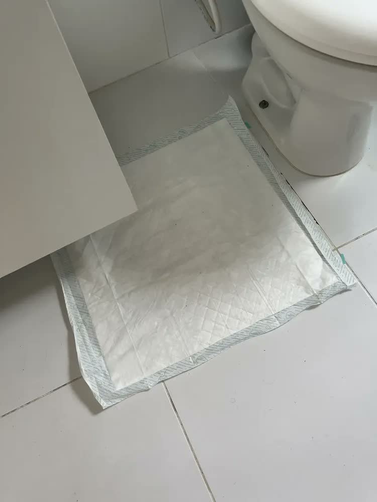 foto de Tapete Higiênico Biodegrável Biosec Eco 80x60cm 30 Unidades Sustentável Ecológico Amigo da Natureza anti Odor para Pet cachorro cão