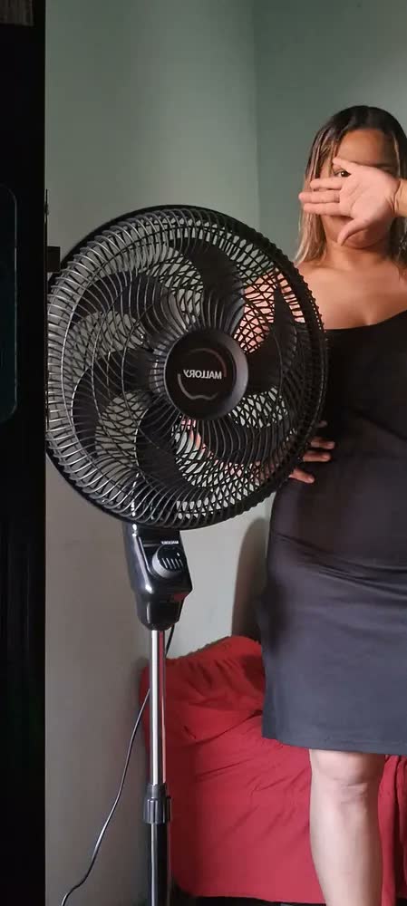 foto de Ventilador De Coluna Mallory Éolo Preto E Grafite - Cor das pás Prateado Diâmetro 40 cm Material das pás Plástico Quantidade de pás 6