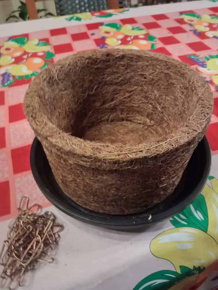 foto de Vaso Pendurar Suspenso Nutricoco Completo com Prato e Corrente N03 Natural Fibra de Coco Natural - Nutriplan