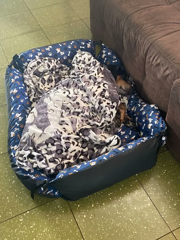 foto de Colchão Cachorro Grande 90x60 Lavável Base Impermeável - Patas Fiéis