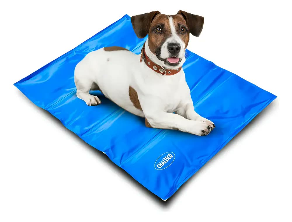 Chalesco Tapete Cama Cachorro Gelado Grande Cor Azul
