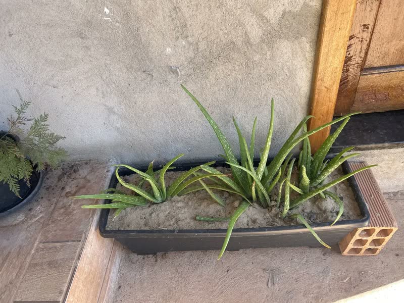 foto de Combo 3 Floreiras De Chão 60cm Jardineiras P/ Plantas E Hortas Cor Preto