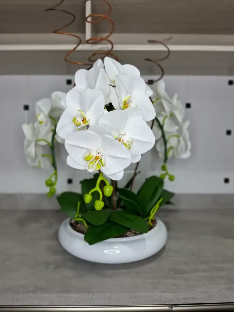 foto de Ikebana Vaso Decorativo Sala Cachepot Planta Ceramica Cores