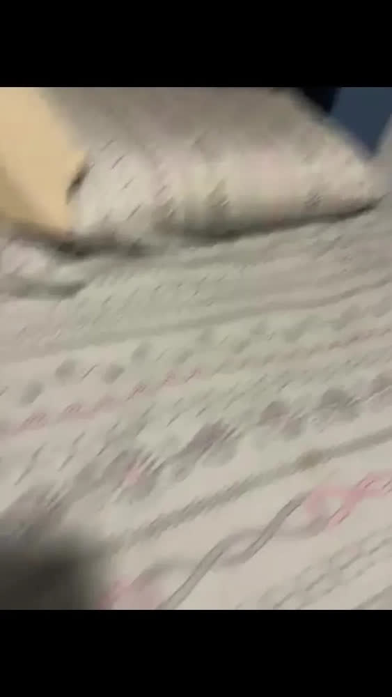 foto de Jogo De Cama Queen Crystal 100% Algodão 4 Peças - Teka