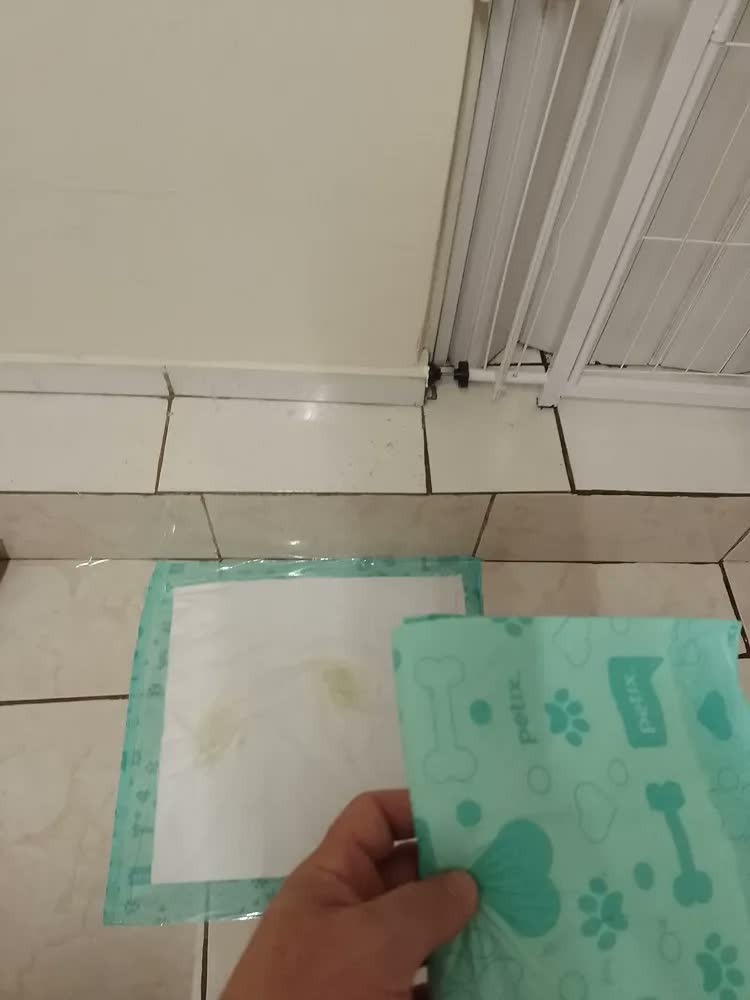 foto de Tapete Higiênico Cães Super Secão Baby Petix C/30 Unidades