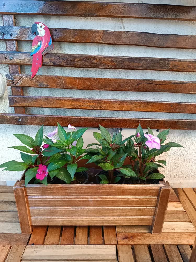foto de Jardineira Vaso Planta Madeira Ripada 50x21cm Alpe & Aritana
