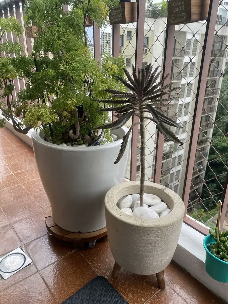 foto de Vaso Plantas Chão Tripé Madeira 30cm Polietileno Bege 7l