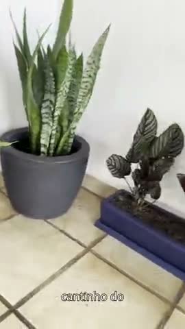vídeo do produto