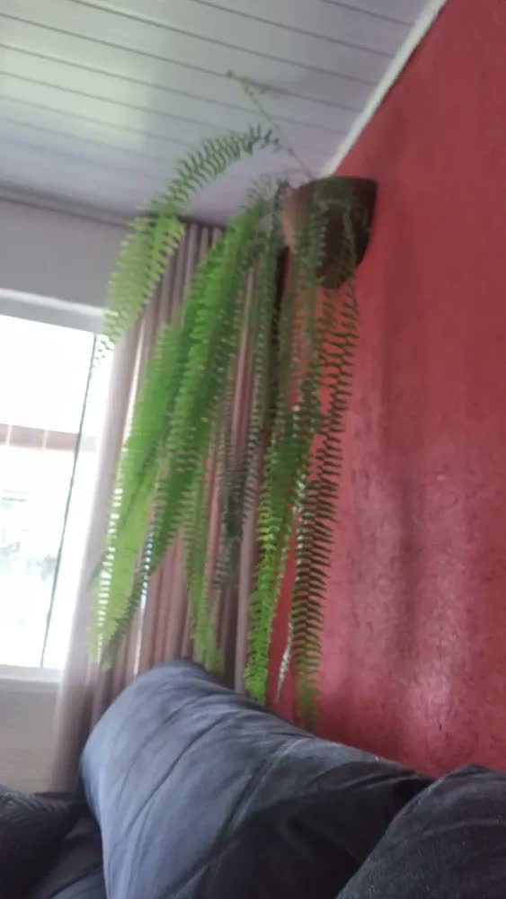 foto de Kit 2 meio vasos de parede 33cm grande para plantas textura marrom