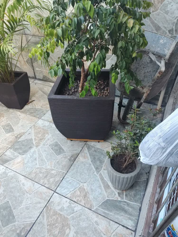 foto de Vaso de planta grande gigante p frutíferas de polietileno 60x56 cm cor marrom/café VGF60