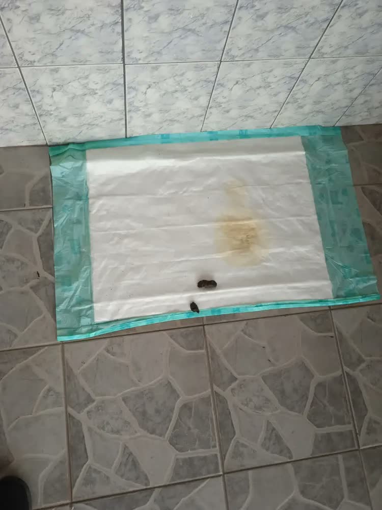 foto de Tapete Super Secao 30 unidades 80x60