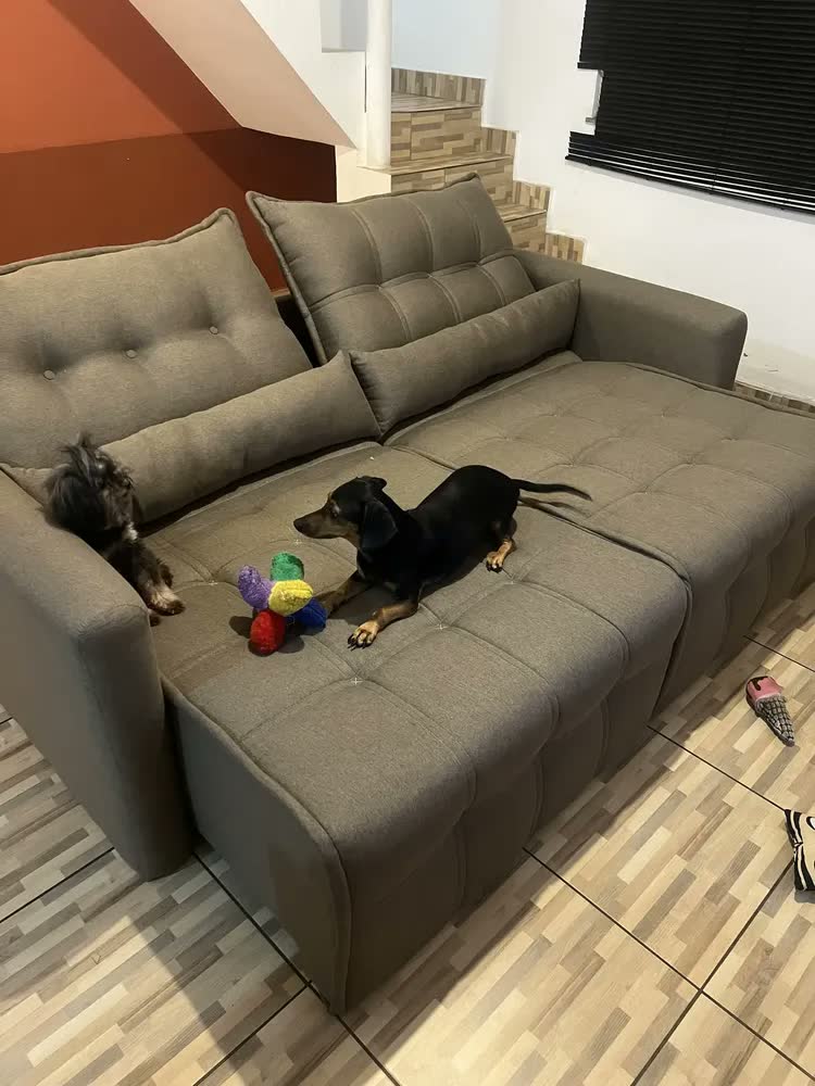 foto de Sofá Cama Retrátil Linho Com Rinheira Bom Pastor Innova Cor Linho bege