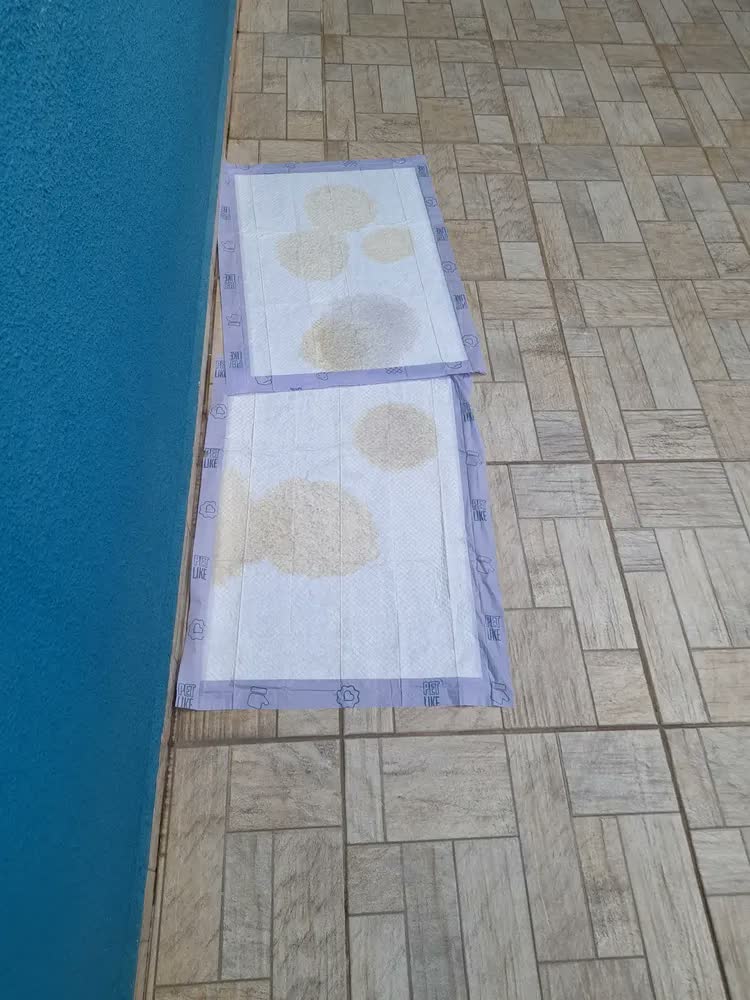 foto de Tapete Higiênico Ultra Pad 60un 80x60 Lavanda Cães
