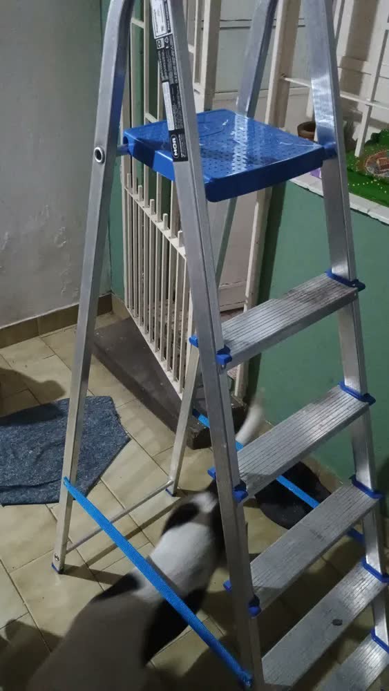foto de Escada Alumínio 6 Degraus Mor Dobrável Doméstica Residencial Cor Azul e Cinza