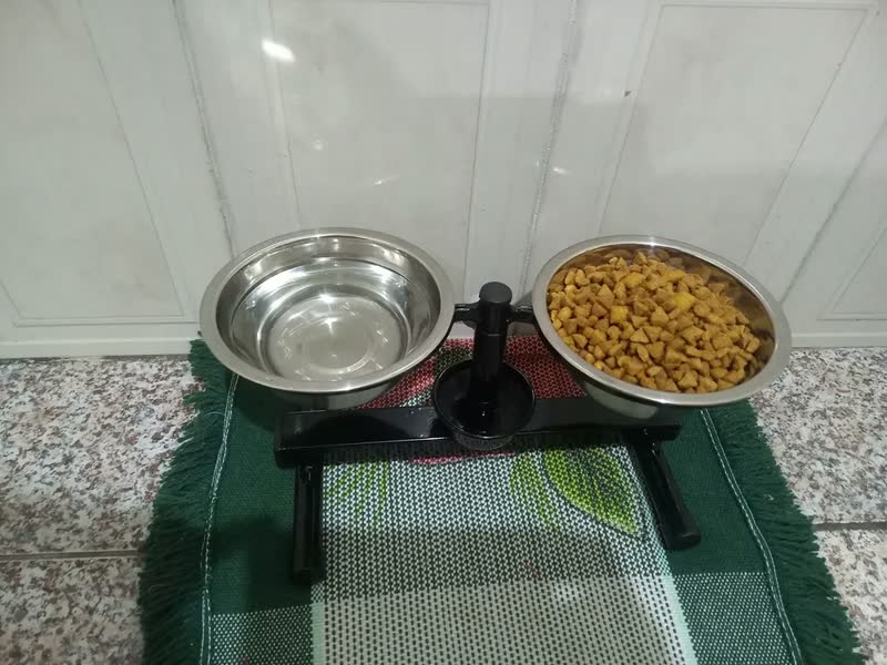 foto de Comedouro Bebedouro NF Pet Antiformiga Inox Duplo 700ml Altura Ajustável Preto