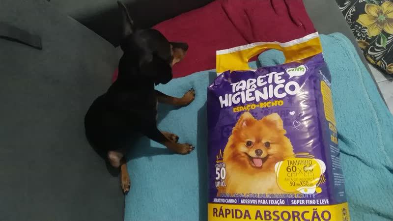 foto de Tapete Higienico Espaço De Bicho 50 Unidades