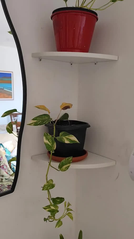 foto de Prateleira Quina / Canto De 25 Cm Branco