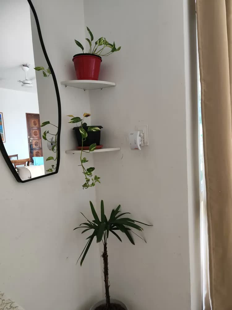 foto de Prateleira Quina / Canto De 25 Cm Branco
