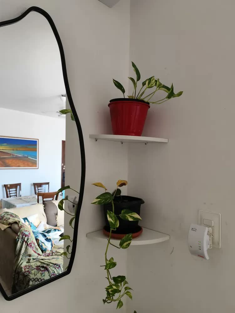 foto de Prateleira Quina / Canto De 25 Cm Branco