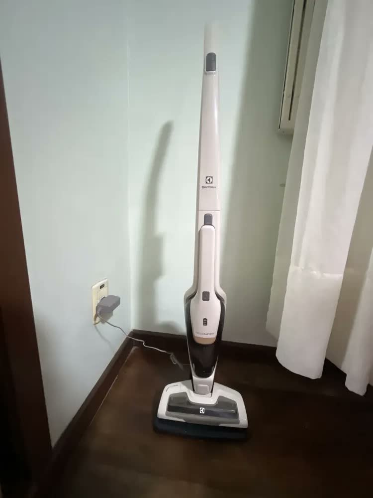 foto de Aspirador De Pó Vertical Electrolux Ergorapido 2 Em 1 Branco