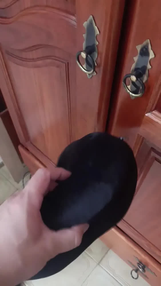 foto de Travesseiro para Viagem NAP Voyage Nasa Plush Preta Viscoelástico Pescoço
