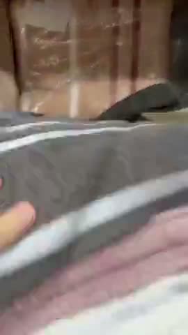 vídeo do produto