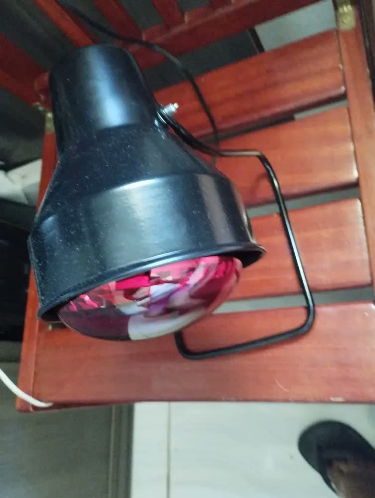 foto de Suporte Fisioterapia Preto + Lâmpada Infravermelho 250w