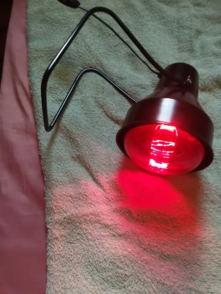 foto de Suporte Fisioterapia Preto + Lâmpada Infravermelho 250w