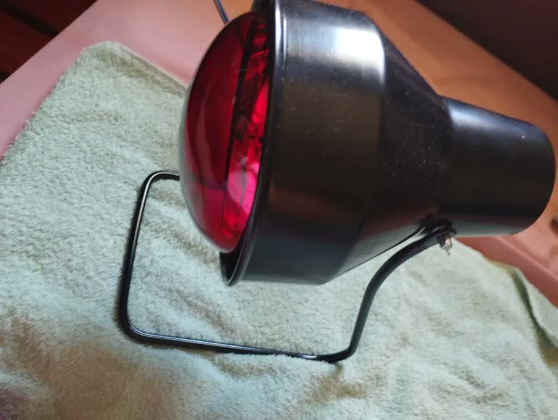 foto de Suporte Fisioterapia Preto + Lâmpada Infravermelho 250w