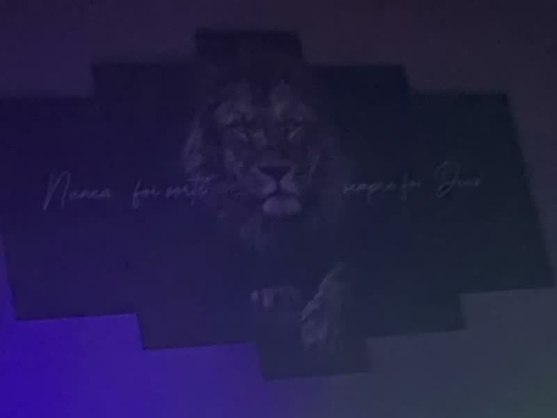 foto de Quadro Decorativo Leão Nunca Foi Sorte Frases Sala Quarto