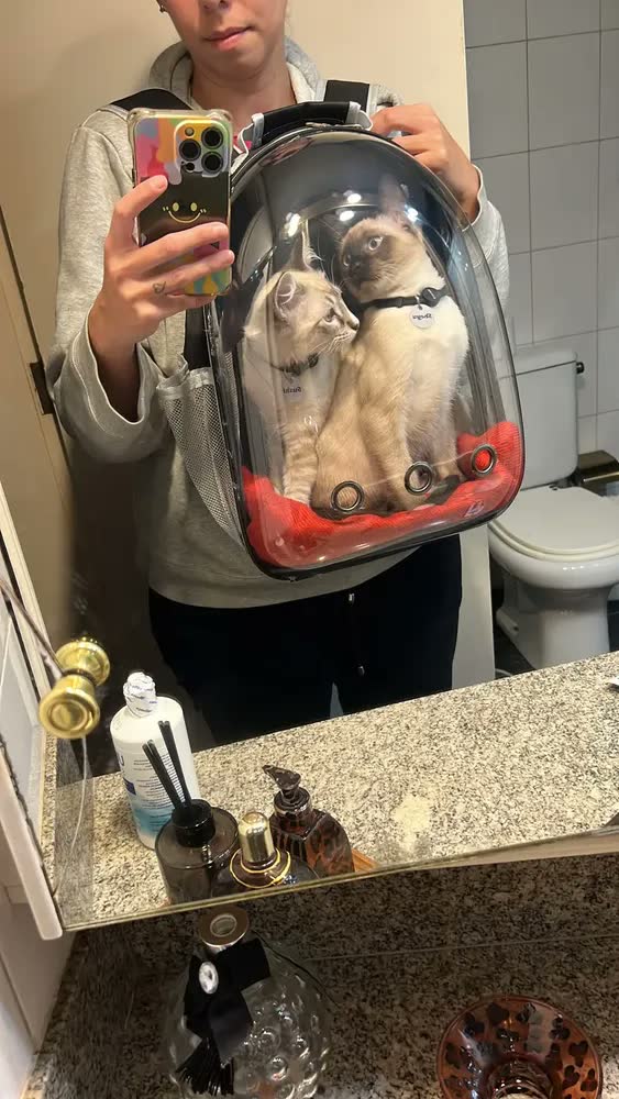 foto de Mochila Pet Deko Visão 360 Cinza Transporte Gato Cão