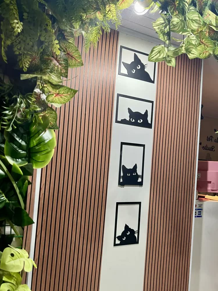 foto de Kit 4 Quadros de Gatos Decorativos para Quarto de Criança