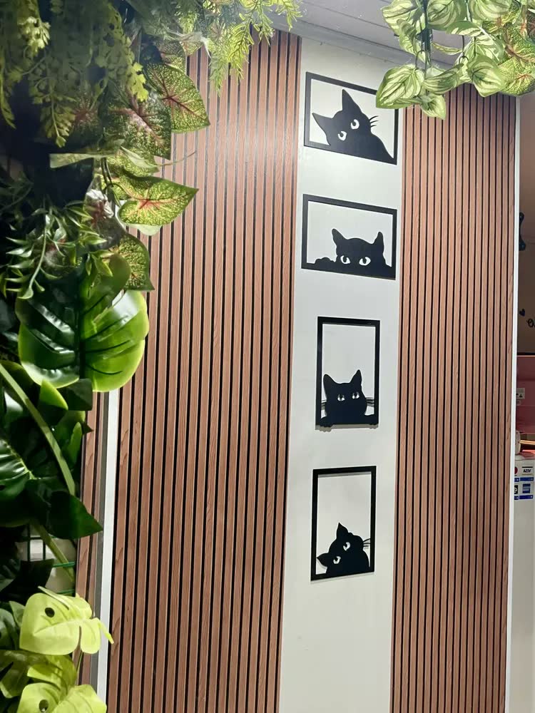 foto de Kit 4 Quadros de Gatos Decorativos para Quarto de Criança
