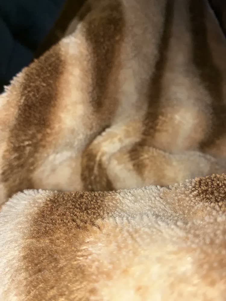 foto de Cobertor Casal Raschel Leão Jolitex Ternille Cor Marrom