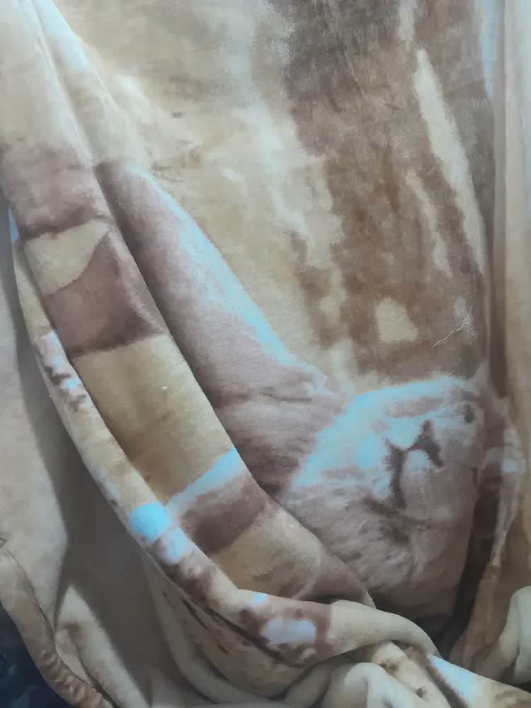 foto de Cobertor Casal Raschel Leão Jolitex Ternille Cor Marrom