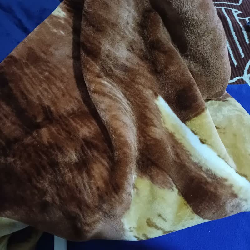 foto de Cobertor Casal Raschel Leão Jolitex Ternille Cor Marrom