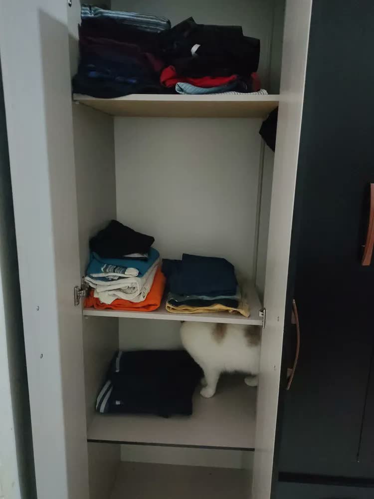 foto de Guarda Roupa Solteiro 6 Portas 2 Gavetas Sidney Doripel Cor Preto