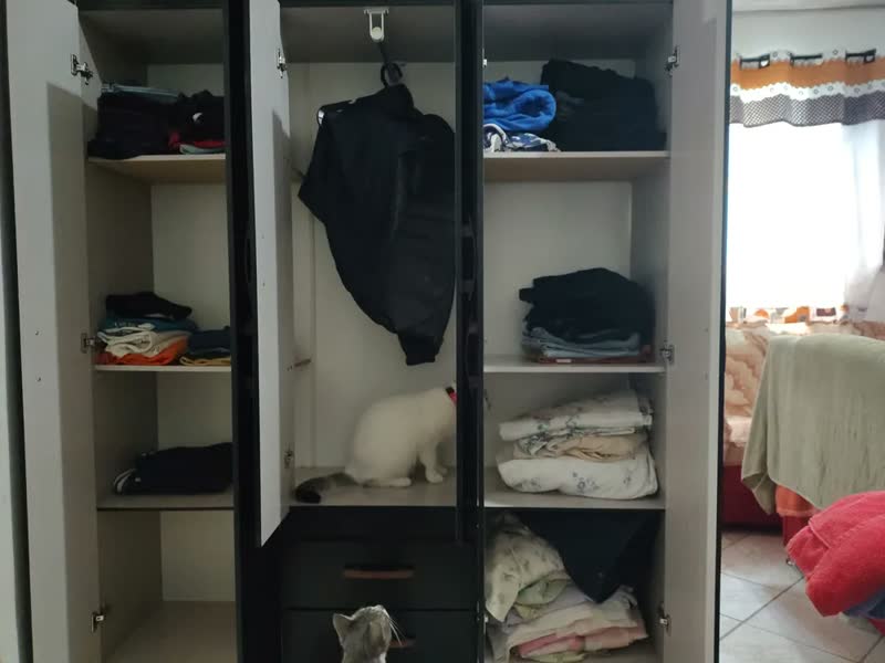foto de Guarda Roupa Solteiro 6 Portas 2 Gavetas Sidney Doripel Cor Preto