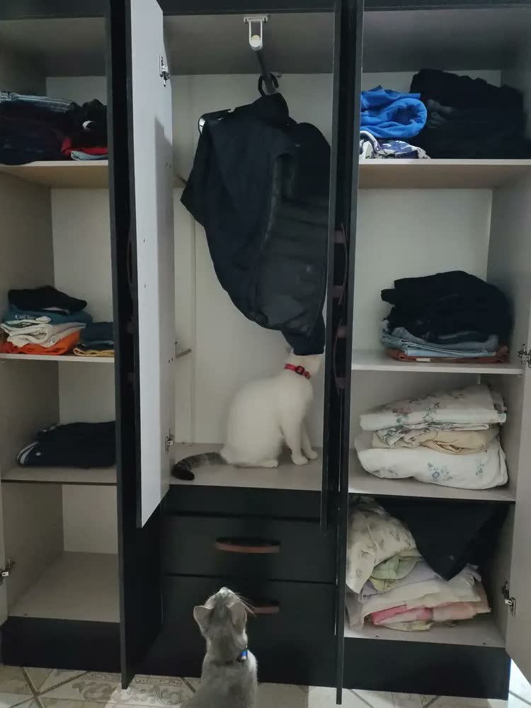 foto de Guarda Roupa Solteiro 6 Portas 2 Gavetas Sidney Doripel Cor Preto