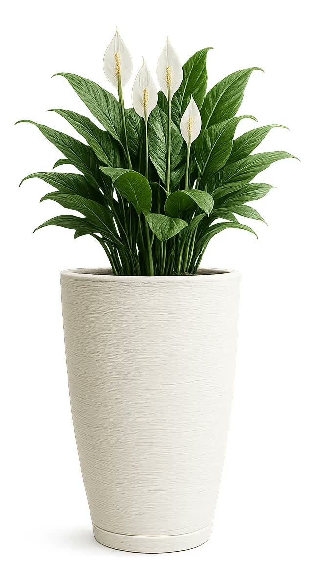 Vaso Grande Para Plantas Cone Grafiato Luxo Escovado Jardim