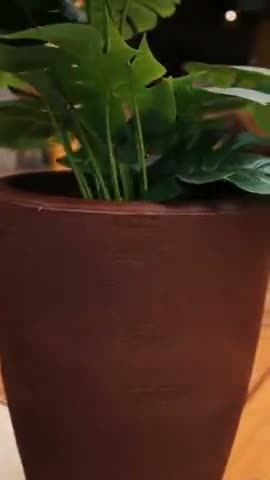 vídeo do produto